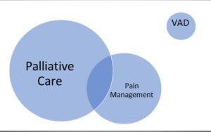 Palliative medicine, palliative care and voluntary assisted dying - Featured Image