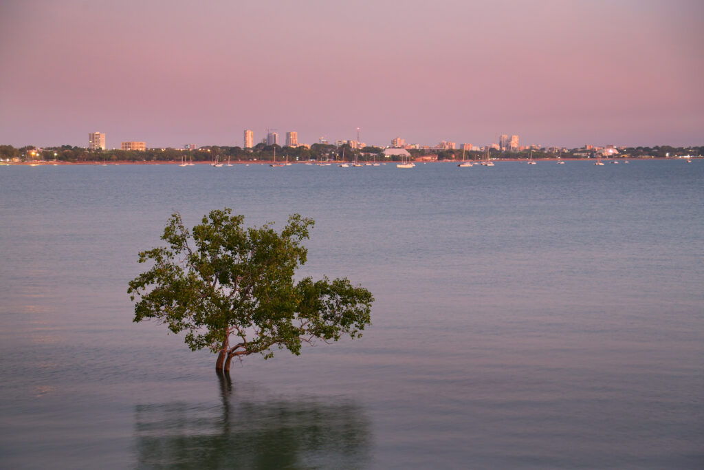 Voice to Parliament: a Northern Territory doctor's perspective - Featured Image