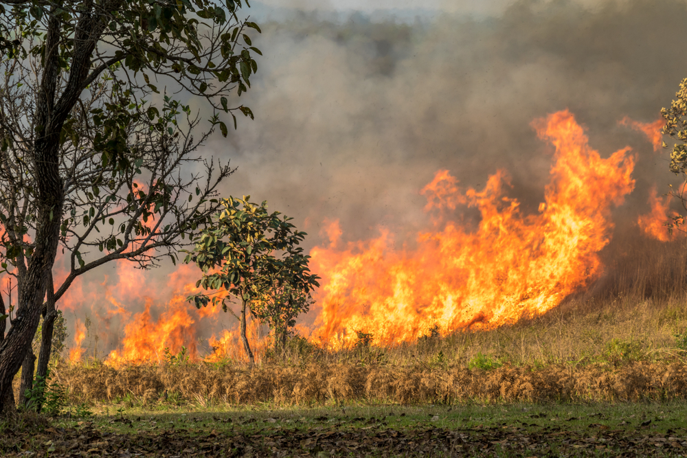 What can health professionals do about climate change? - Featured Image