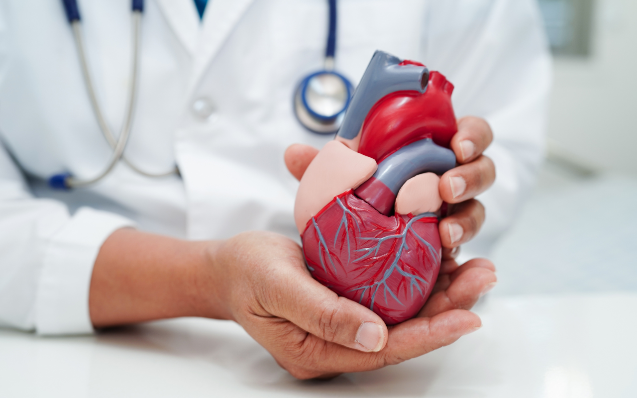 New model for improving cardiovascular outcomes for patients