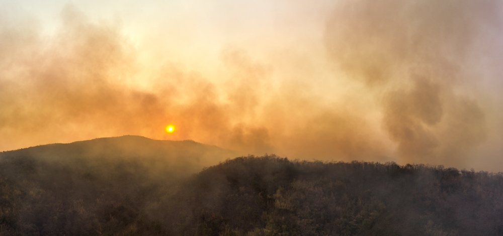 This is our lane: why doctors must care about climate change - Featured Image