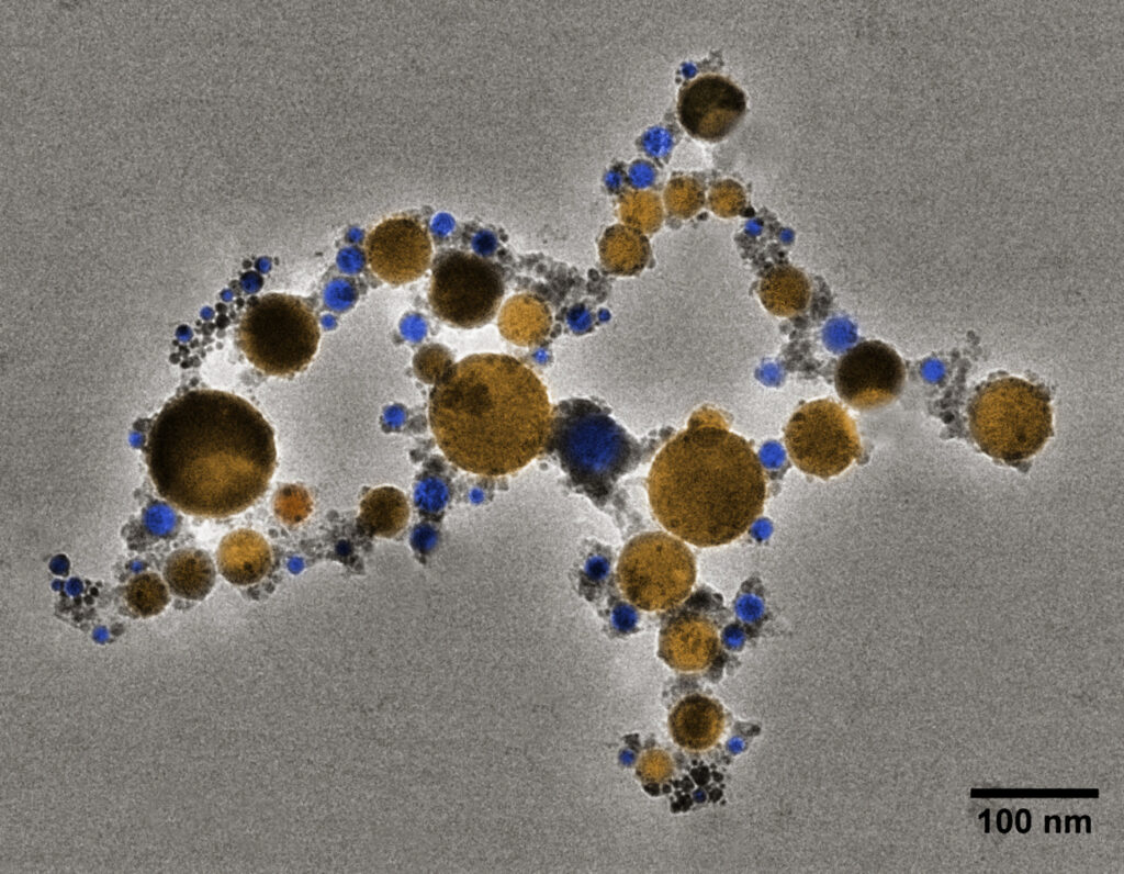 Nanoparticles in Alzheimer’s disease: a new frontier in diagnosis and therapy - Featured Image
