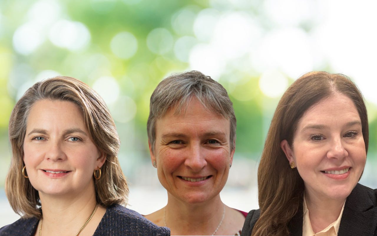 Doctors for the Environment Australia turns 25