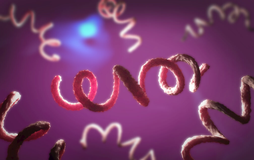 Why GPs should be on the lookout for syphilis - Featured Image