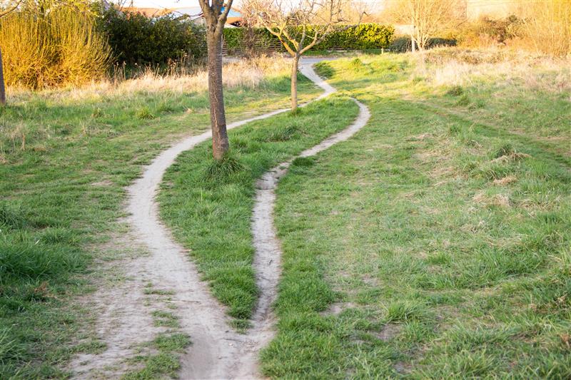 Sexual harassment in medicine: healing global medical cultures - Featured Image